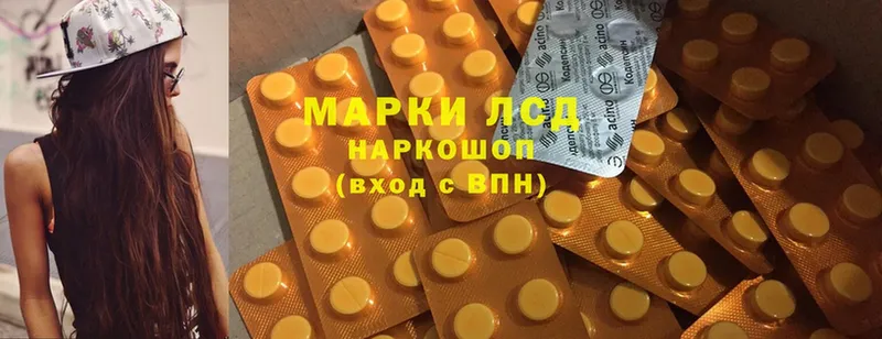 ЛСД экстази ecstasy  blacksprut   Волхов  купить наркотик 